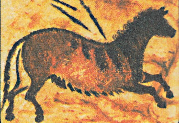 Наскальная живопись кроманьонцев рисунок лошади 